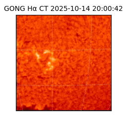 gong - 2025-10-14T20:00:42