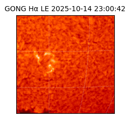 gong - 2025-10-14T23:00:42