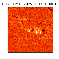 gong - 2025-10-14T01:00:42