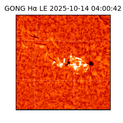 gong - 2025-10-14T04:00:42
