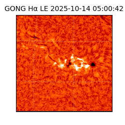 gong - 2025-10-14T05:00:42