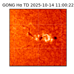 gong - 2025-10-14T11:00:22