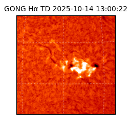 gong - 2025-10-14T13:00:22