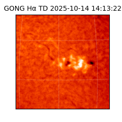 gong - 2025-10-14T14:13:22