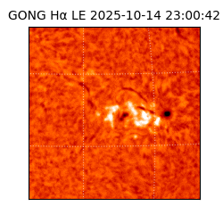 gong - 2025-10-14T23:00:42