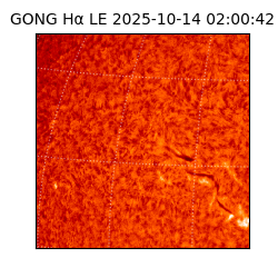 gong - 2025-10-14T02:00:42