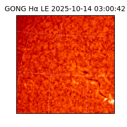 gong - 2025-10-14T03:00:42