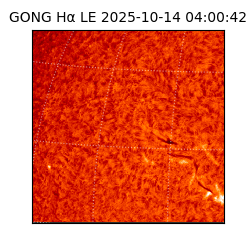 gong - 2025-10-14T04:00:42