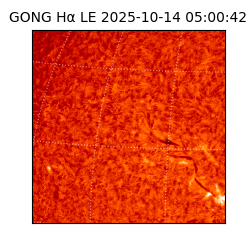 gong - 2025-10-14T05:00:42