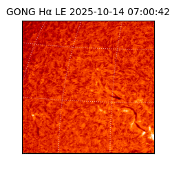 gong - 2025-10-14T07:00:42