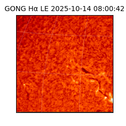 gong - 2025-10-14T08:00:42