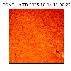 gong - 2025-10-14T11:00:22