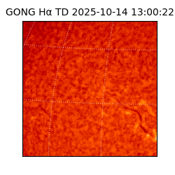 gong - 2025-10-14T13:00:22