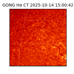 gong - 2025-10-14T15:00:42