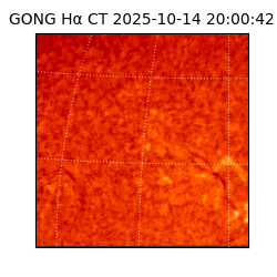 gong - 2025-10-14T20:00:42