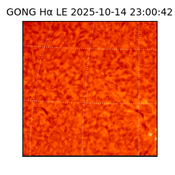 gong - 2025-10-14T23:00:42