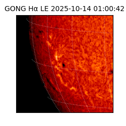 gong - 2025-10-14T01:00:42