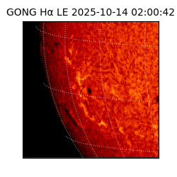 gong - 2025-10-14T02:00:42