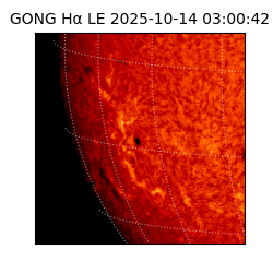 gong - 2025-10-14T03:00:42