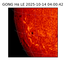 gong - 2025-10-14T04:00:42