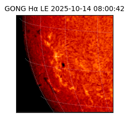 gong - 2025-10-14T08:00:42