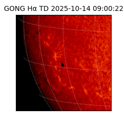 gong - 2025-10-14T09:00:22