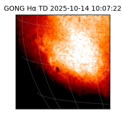 gong - 2025-10-14T10:07:22