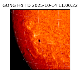 gong - 2025-10-14T11:00:22