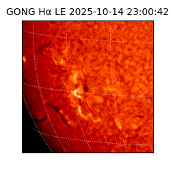 gong - 2025-10-14T23:00:42