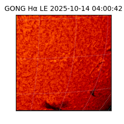 gong - 2025-10-14T04:00:42