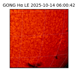 gong - 2025-10-14T06:00:42
