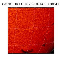 gong - 2025-10-14T08:00:42