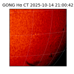 gong - 2025-10-14T21:00:42