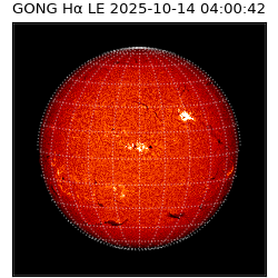 gong - 2025-10-14T04:00:42