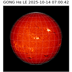 gong - 2025-10-14T07:00:42