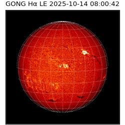 gong - 2025-10-14T08:00:42