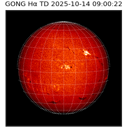 gong - 2025-10-14T09:00:22