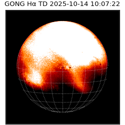 gong - 2025-10-14T10:07:22
