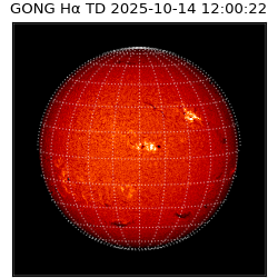 gong - 2025-10-14T12:00:22