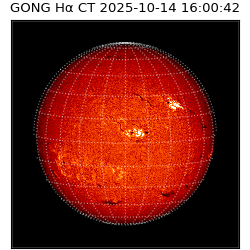 gong - 2025-10-14T16:00:42