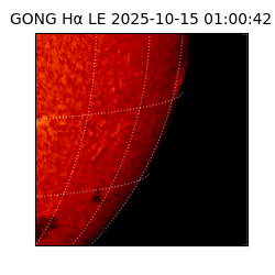 gong - 2025-10-15T01:00:42