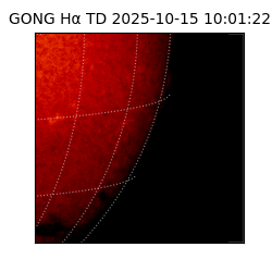 gong - 2025-10-15T10:01:22