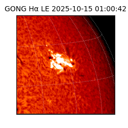 gong - 2025-10-15T01:00:42