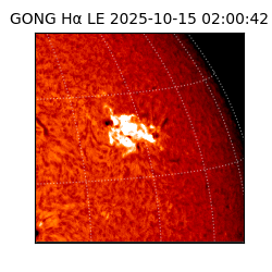 gong - 2025-10-15T02:00:42