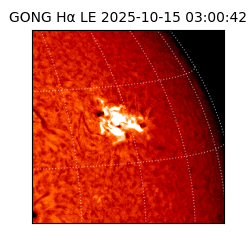 gong - 2025-10-15T03:00:42