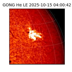 gong - 2025-10-15T04:00:42