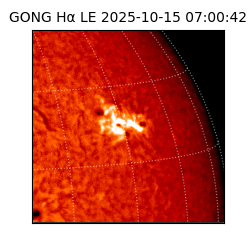 gong - 2025-10-15T07:00:42
