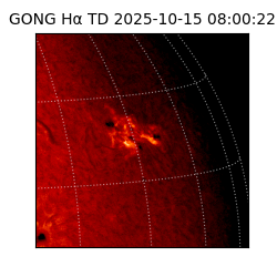 gong - 2025-10-15T08:00:22