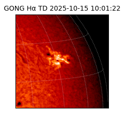 gong - 2025-10-15T10:01:22