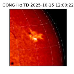 gong - 2025-10-15T12:00:22